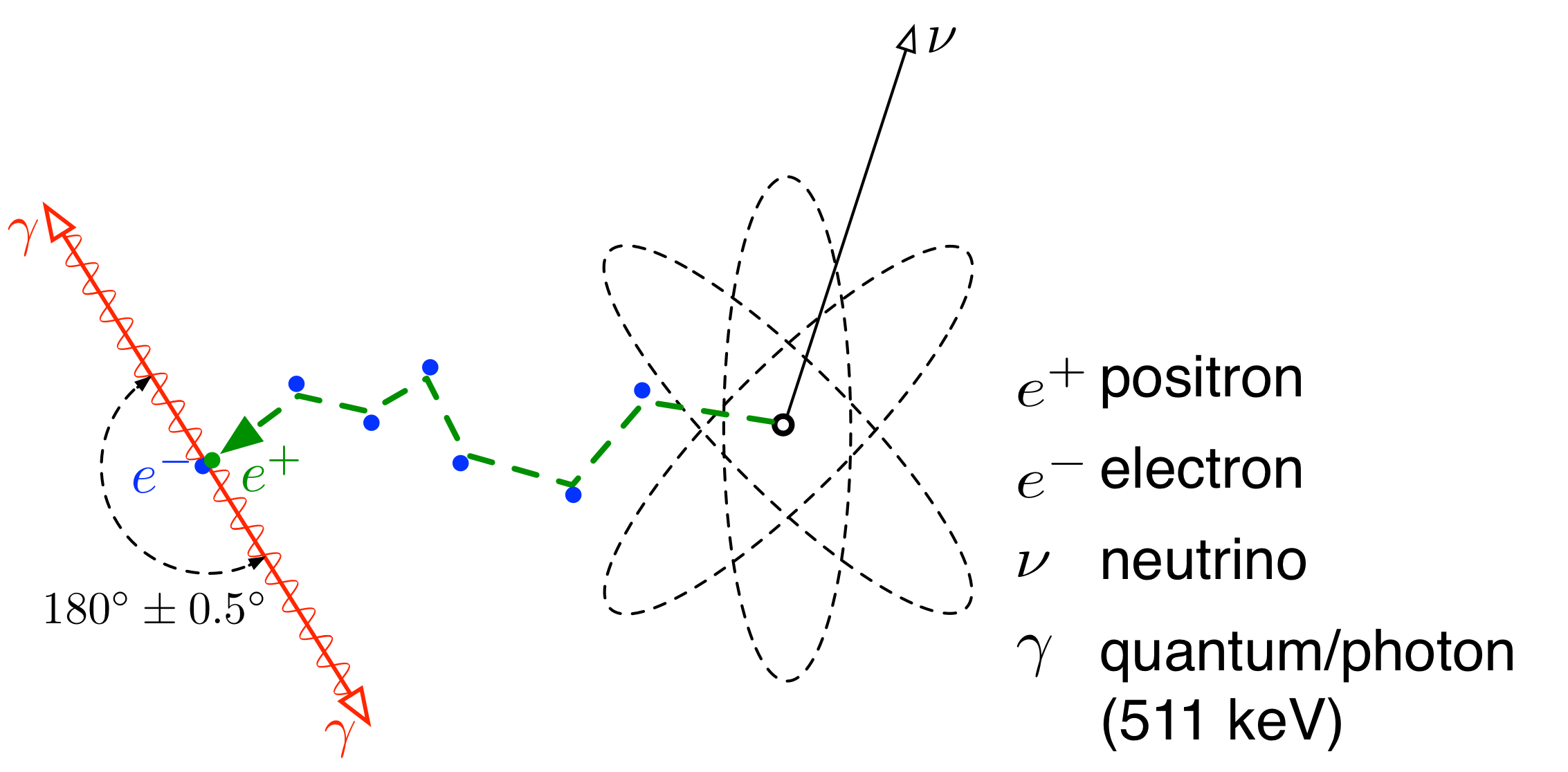 Positron-Electron Annihilation